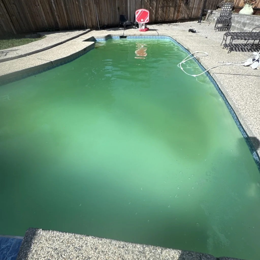 Green To Clean